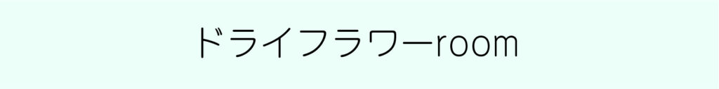 鹿児島ハイピーススタジオハイピースセルフ撮影スタジオプロカメラマン鹿児島